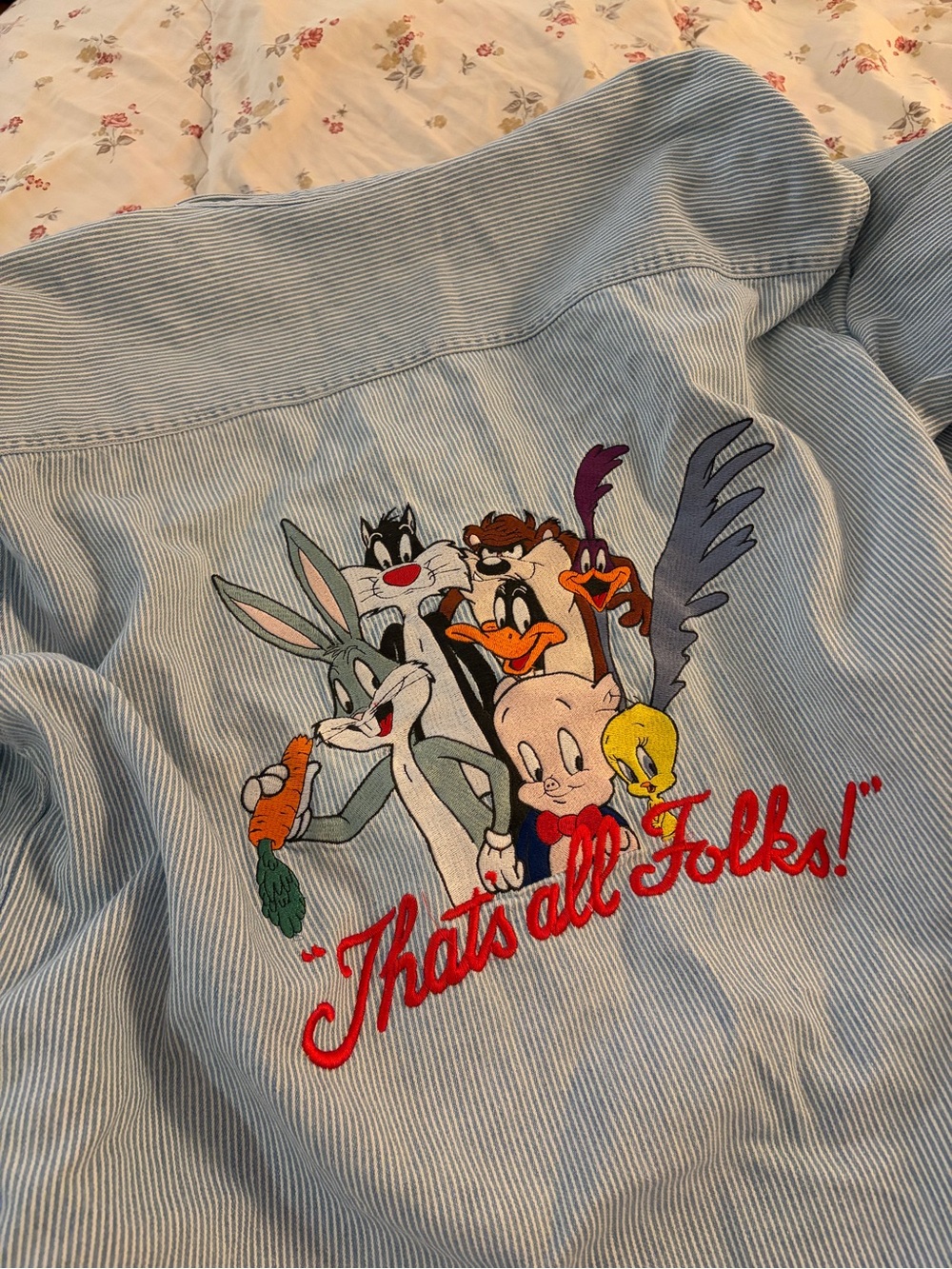 Vintage Men’s Pinstripe Button-Up - Looney Tunes Embroider